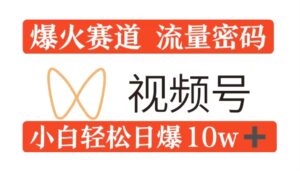 0粉在视频号爆火赛道流量密码，模式全方位，小白轻松日爆10w+流量-网创资源