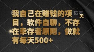（12956期）我自己在赚钱的项目，软件自聊，不存在幸存者原则，做就有每天500+-网创资源