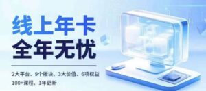 老陶电商线上年卡，拼多多、抖音，两大平台100+节课程-网创资源