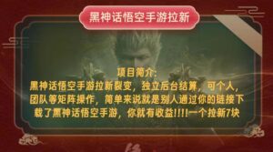 （12949期）黑神话悟空小白简单无脑操作拉新单天收益一千+-网创资源