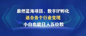 （12941期）最燃蓝海项目  数字IP孵化  适合各个行业变现  小白也能日入5位数-网创资源