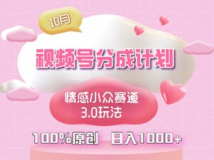 （12939期）视频号情感小众赛道3.0.纯原创视频，每天1小时，小白易上手-网创资源