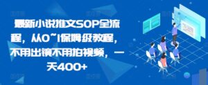 最新小说推文SOP全流程，从0~1保姆级教程，不用出镜不用拍视频，一天400+-网创资源