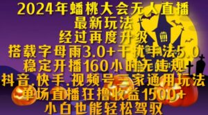 2024年蟠桃大会无人直播最新玩法，稳定开播160小时无违规，抖音、快手、视频号三家通用玩法【揭秘】-网创资源