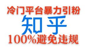 冷门平台暴力引流，日引100+创业粉，0成本100%避免违规的玩法-网创资源