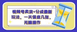 视频号卖货+分成最新玩法，一天保底几张，无脑操作-网创资源