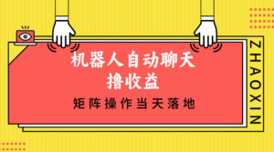 （12908期）机器人自动聊天撸收益，单机日入500+矩阵操作当天落地-网创资源
