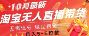 淘宝无人直播撸金，无需值守，全自动月入过W-网创资源