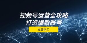 （12912期）视频号运营全攻略，从定位到成交一站式学习，视频号核心秘诀，打造爆款…-网创资源