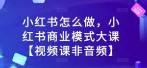 小红书怎么做，小红书商业模式大课【视频课非音频】-网创资源