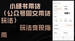 （12903期）小绿书带货（公众号图文带货玩法）玩法变现指南-网创资源