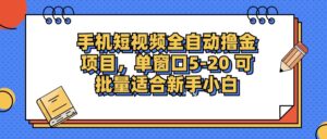 （12898期）手机短视频掘金项目，单窗口单平台5-20 可批量适合新手小白-网创资源