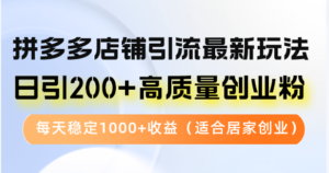 （12893期）拼多多店铺引流最新玩法，日引200+高质量创业粉，每天稳定1000+收益（…-网创资源