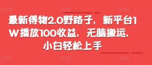 最新得物2.0野路子，新平台1W播放100收益，无脑搬运，小白轻松上手-网创资源