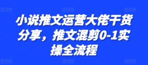 小说推文运营大佬干货分享，推文混剪0-1实操全流程-网创资源
