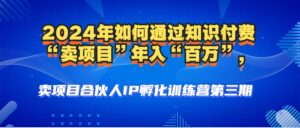 （12877期）2024年普通人如何通过知识付费“卖项目”年入“百万”人设搭建-黑科技…-网创资源