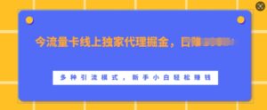 流量卡线上独家代理掘金，日入1k+ ，多种引流模式，新手小白轻松上手【揭秘】-网创资源