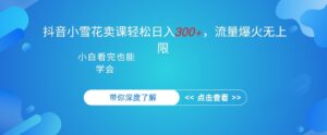 抖音硬核小雪花卖课，单日轻松3张，可多号操作-网创资源