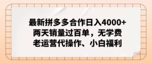 （12869期）拼多多最新合作日入4000+两天销量过百单，无学费、老运营代操作、小白福利-网创资源
