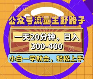 （12866期）公众号流量主野路子玩法，一天20分钟，日入300~400，小白一学就会-网创资源