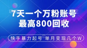 快手暴力起号，7天涨万粉，小白当天起号，多种变现方式，单月变现几个-网创资源