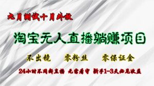 （12862期）淘宝无人直播最新玩法，九月测试十月外放，不出镜零粉丝零保证金，24小…-网创资源