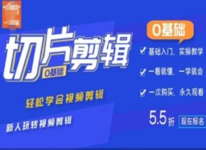 0基础IP切片剪辑，轻松学会视频剪辑，新人玩转视频剪辑-网创资源