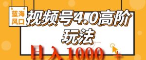 2024视频号4.0高阶变现项目，蓝海风口，日入1k-网创资源