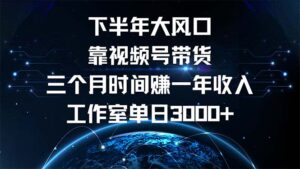 （12849期）下半年风口项目，靠视频号带货三个月时间赚一年收入，工作室单日3000+-网创资源