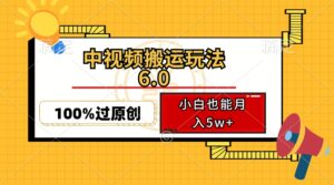 （12838期）中视频搬运玩法6.0，利用软件双重去重，100%过原创，小白也能月入5w+-网创资源