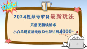 （12837期）2024视频号最新玩法，只需无脑读话术，小白单场直播纯收益也能达到4000+-网创资源