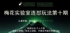 梅花实验室社群专享课视频号连怼玩法第十期课程+第二部分-FF助手全新高自由万能爆闪AB处理-网创资源