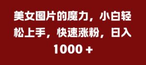 美女图片的魔力，小白轻松上手，快速涨粉，日入几张【揭秘】-网创资源
