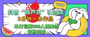 抖音葫芦式引流法，三分钟一条作品，单日引爆抖音500人精准创业粉丝群【揭秘】-网创资源