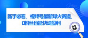 新手必看，视频号最新爆火赛道，0粉丝也能快速盈利-网创资源