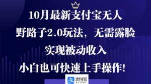 （12824期）10月最新支付宝无人野路子2.0玩法，无需露脸，实现被动收入，小白也可…-网创资源