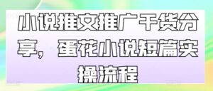 小说推文推广干货分享，蛋花小说短篇实操流程-网创资源