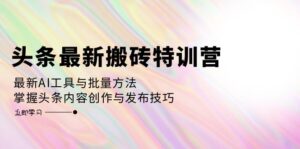 （12819期）头条最新搬砖特训营：最新AI工具与批量方法，掌握头条内容创作与发布技巧-网创资源