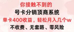 （12820期）号卡分销顶商系统，单卡400+收益。0门槛免费领，月入几W超轻松！-网创资源