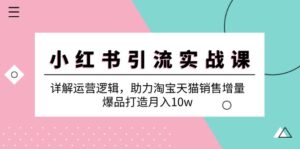 （12809期）小红书引流实战课：详解运营逻辑，助力淘宝天猫销售增量，爆品打造月入10w-网创资源
