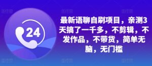 最新语聊自刷项目，亲测3天搞了一千多，不剪辑，不发作品，不带货，简单无脑，无门槛-网创资源