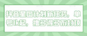 抖音星图计划新任务，单号1k起，撸多得多不封顶-网创资源
