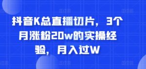抖音K总直播切片，3个月涨粉20w的实操经验，月入过W-网创资源