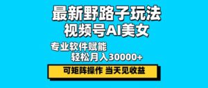 （12798期）最新野路子玩法，视频号AI美女，当天见收益，轻松月入30000＋-网创资源