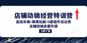 （12794期）店铺动销经营特训营：起店实操/精准拉新/0基础开店运营/店铺动销全面升级-网创资源