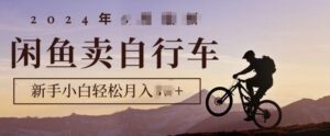 骑行圈的秘密之我在闲鱼卖自行车，项目门槛低，0成本就可以操作-网创资源