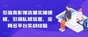引流卖影视资源实操课程，引流私域运营，全网多平台实战经验-网创资源