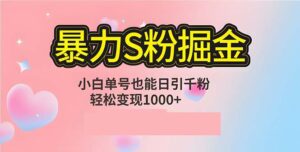 （12778期）单人单机日引千粉，变现1000+，S粉流量掘金计划攻略-网创资源