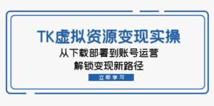 （12770期）TK虚拟资料变现实操：从下载部署到账号运营，解锁变现新路径-网创资源