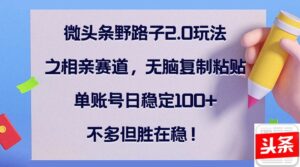 （12763期）微头条野路子2.0玩法之相亲赛道，无脑复制粘贴，单账号日稳定100+，不…-网创资源